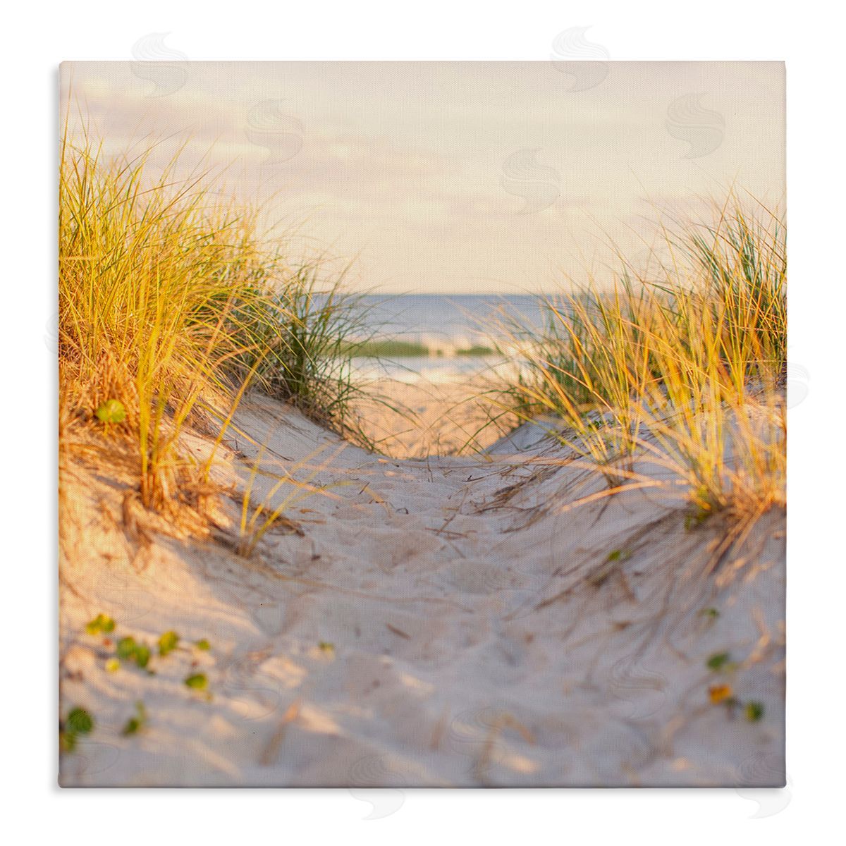 Michael Quackenbush Beach Sand Dunes Path Stretched Canvas Wall Art Print