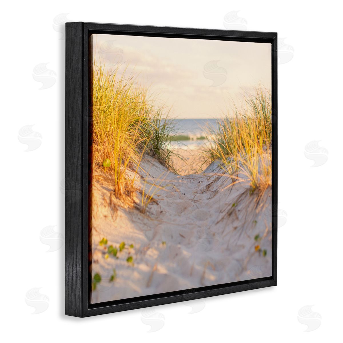 Michael Quackenbush Beach Sand Dunes Path Black Floating Frame Canvas Wall Art Print