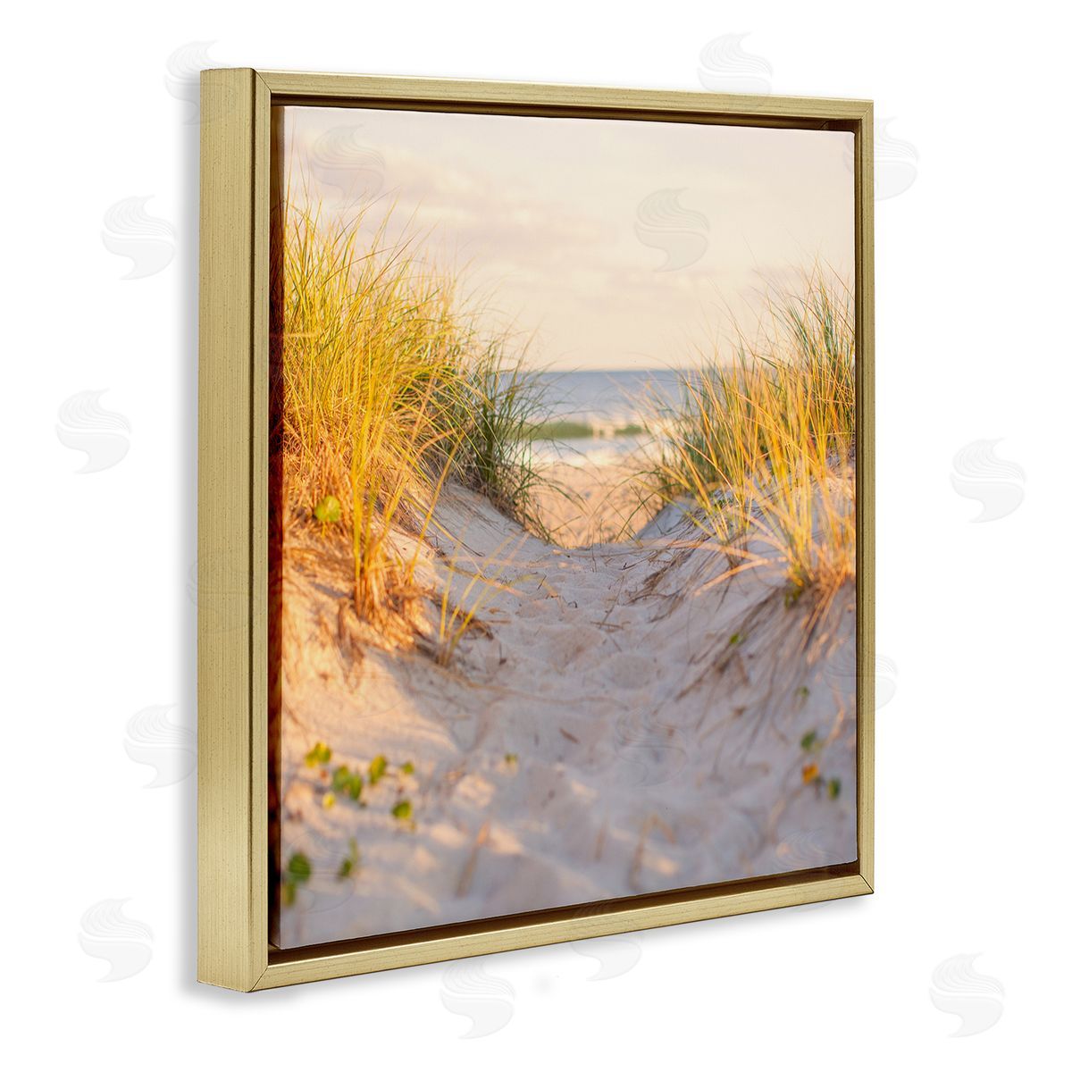 Michael Quackenbush Beach Sand Dunes Path Gold Floating Frame Canvas Wall Art Print