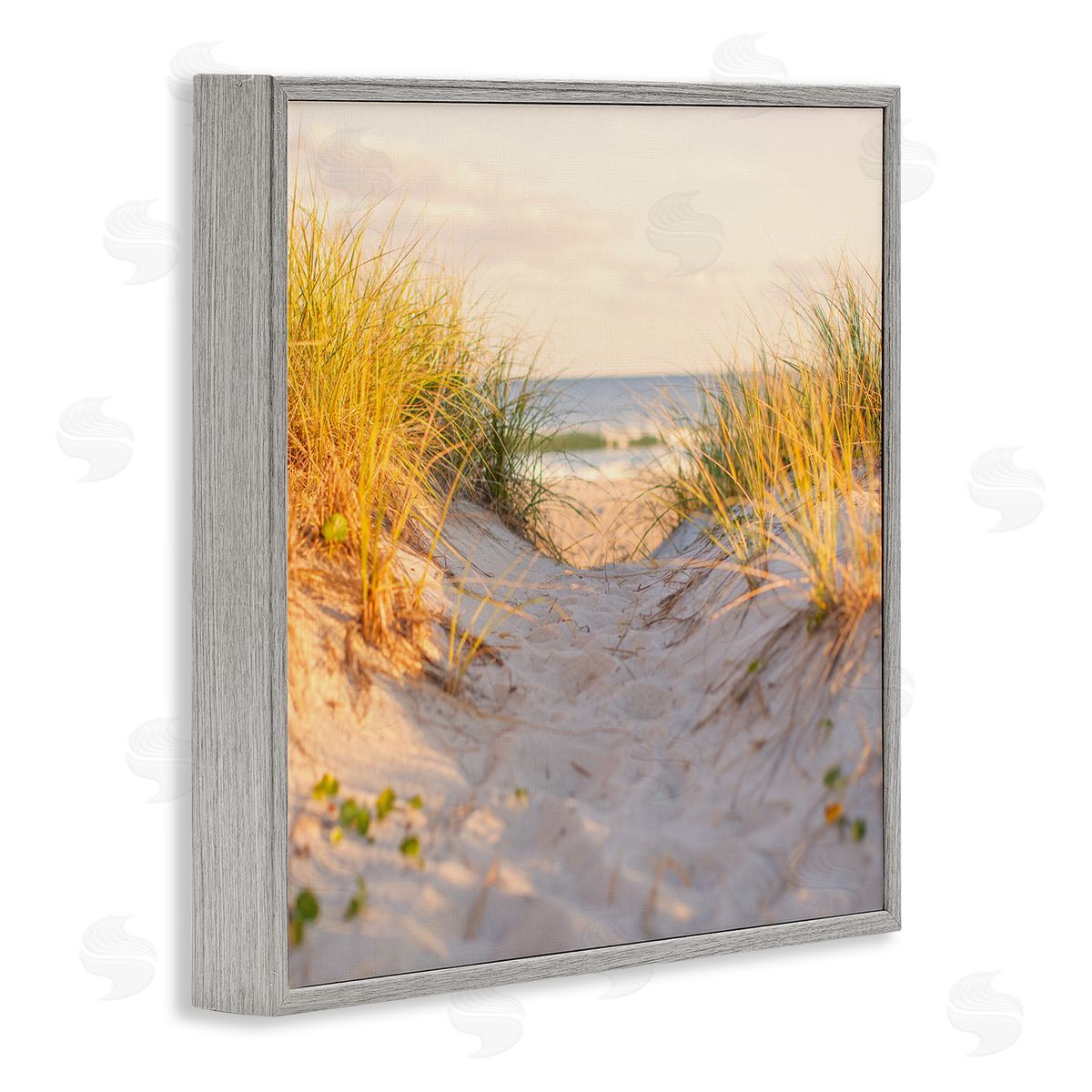 Michael Quackenbush Beach Sand Dunes Path Gray Framed Glicee Wall Art Print