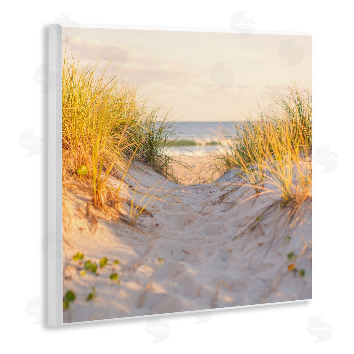 Michael Quackenbush Beach Sand Dunes Path Wooden Wall Plaque Art Print