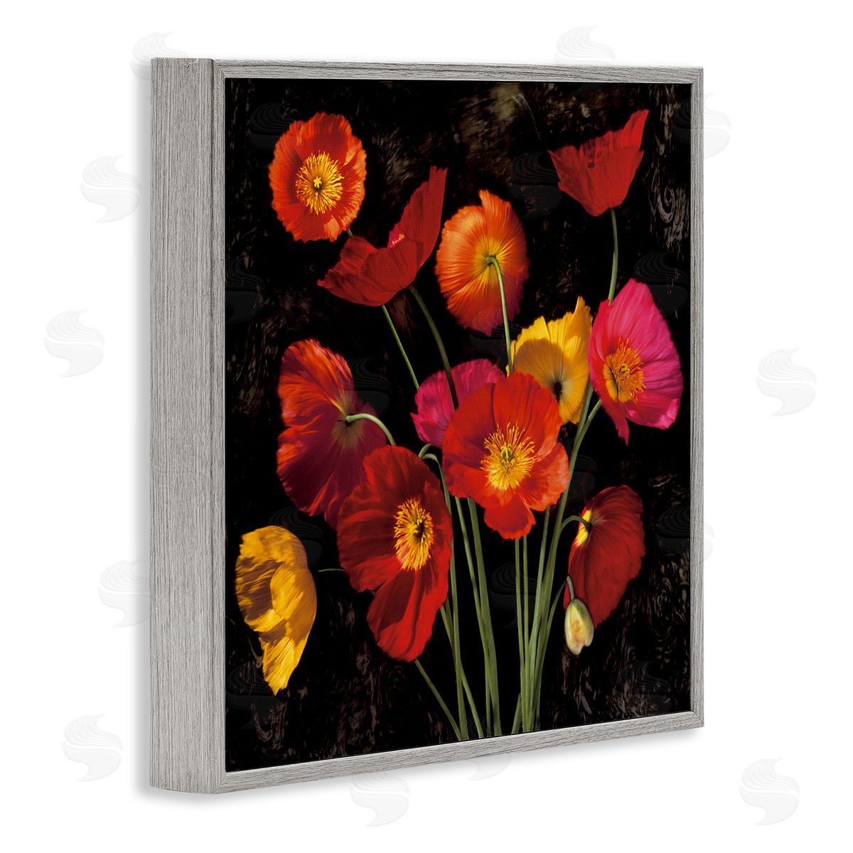 John Seba Red Poppies Photography Gray Framed Glicee Wall Art Print