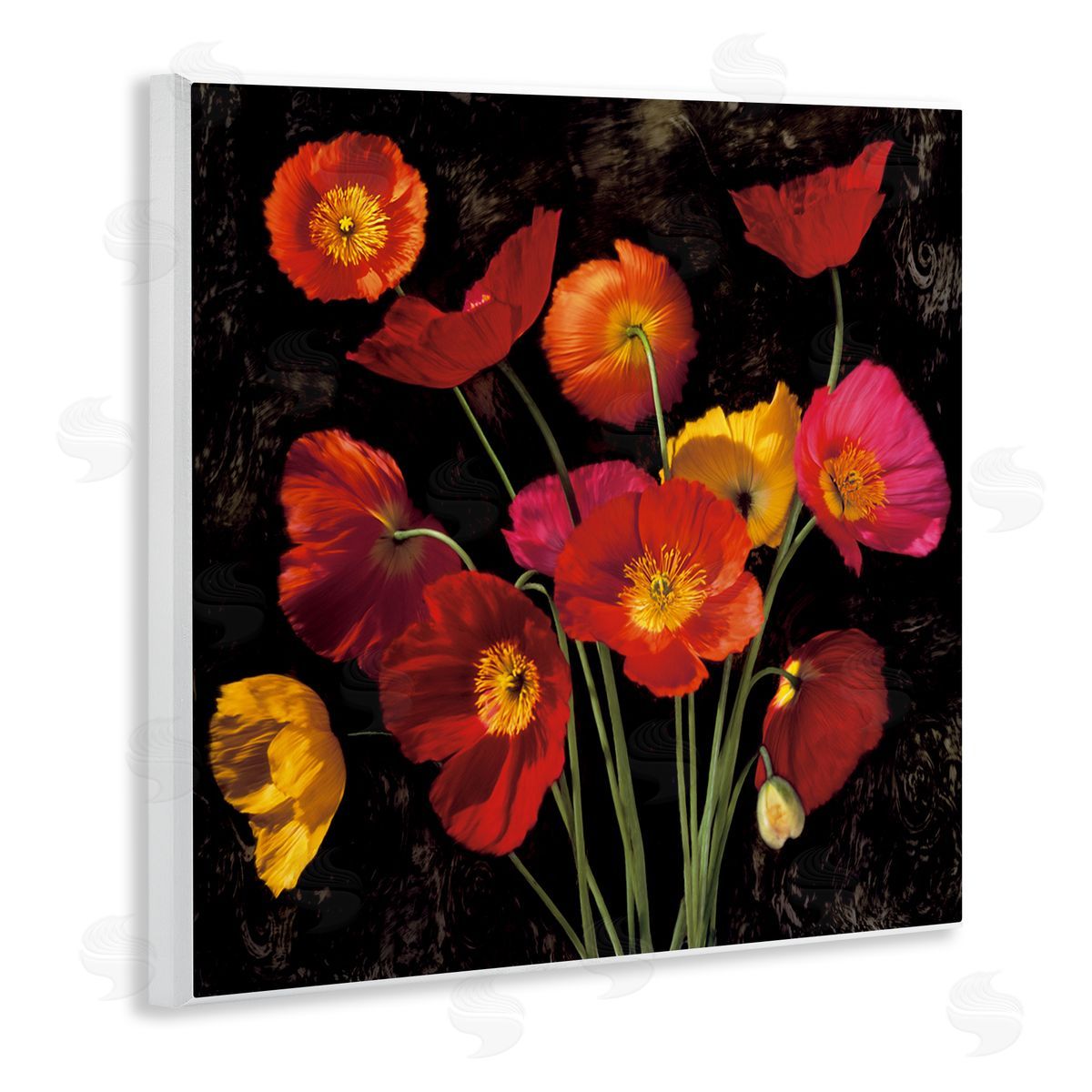 John Seba Red Poppies Photography Wooden Wall Plaque Art Print