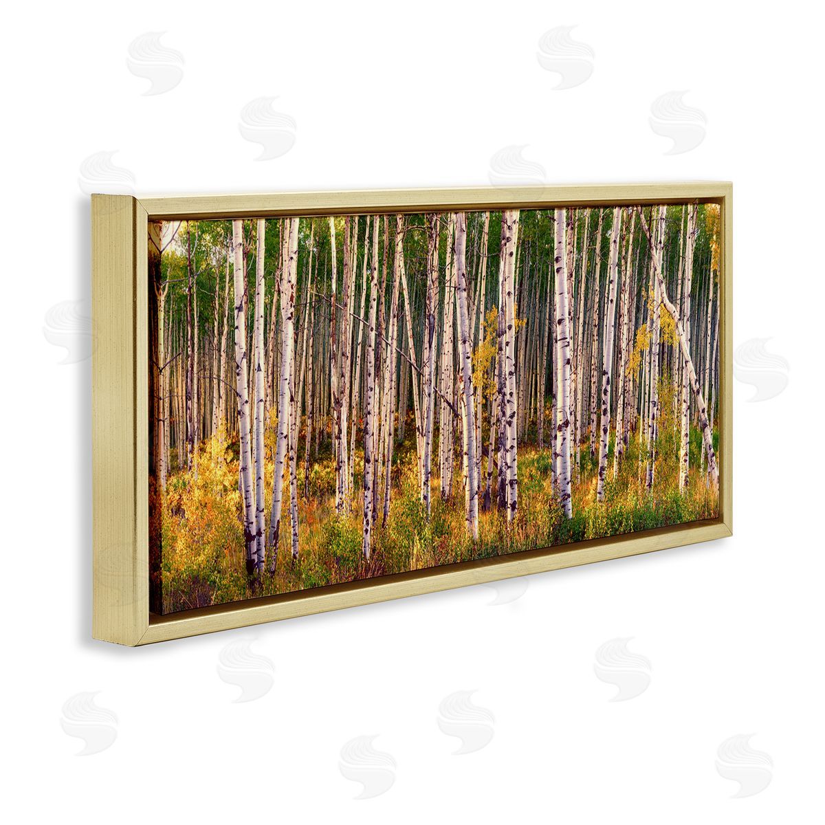 Lena Owens Autumn Birch Trees