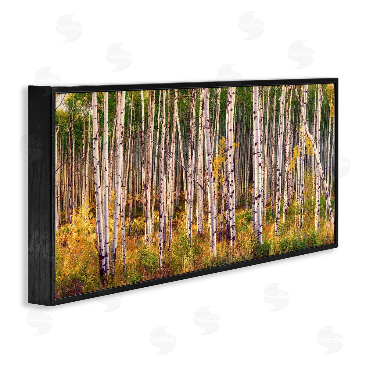 Lena Owens Autumn Birch Trees