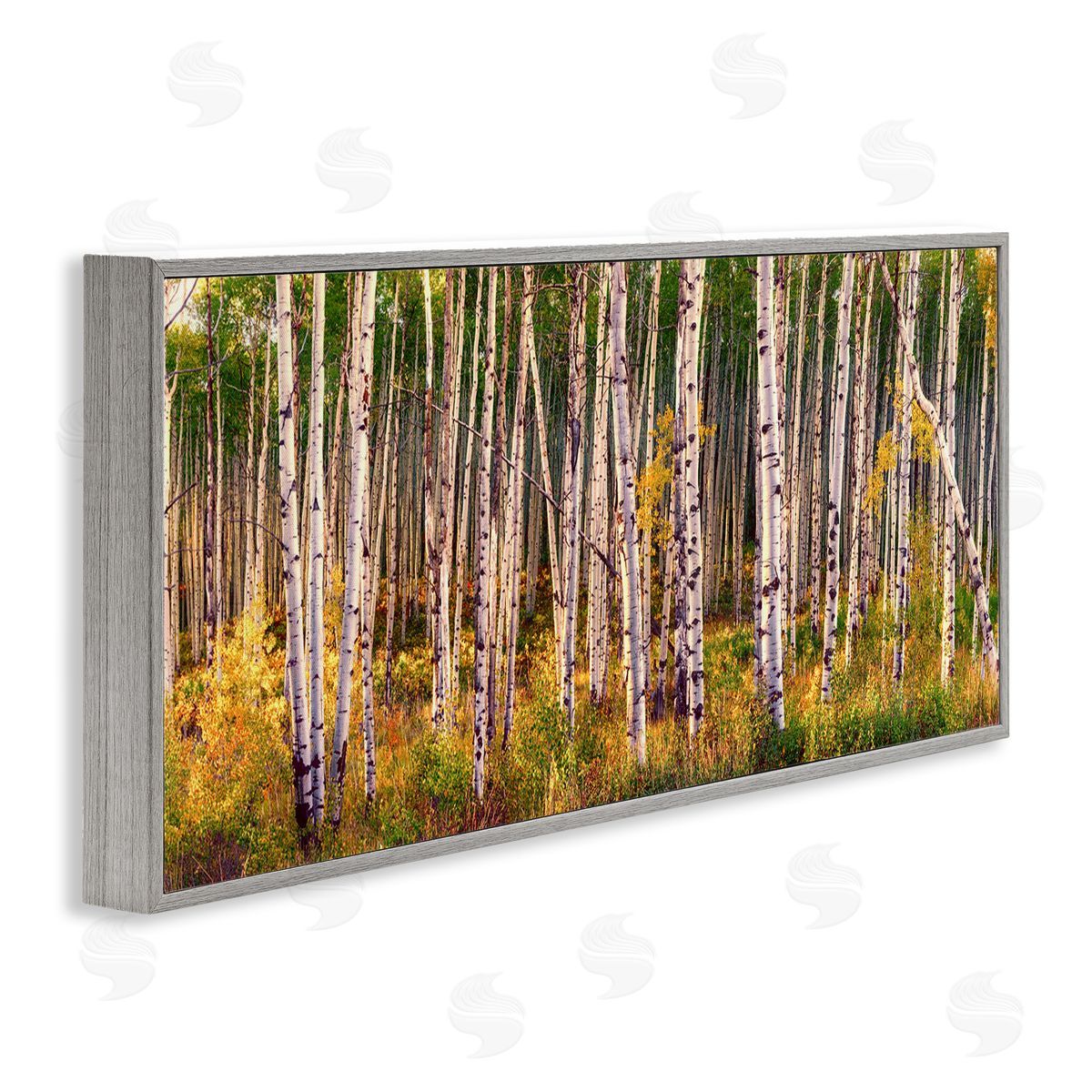 Lena Owens Autumn Birch Trees