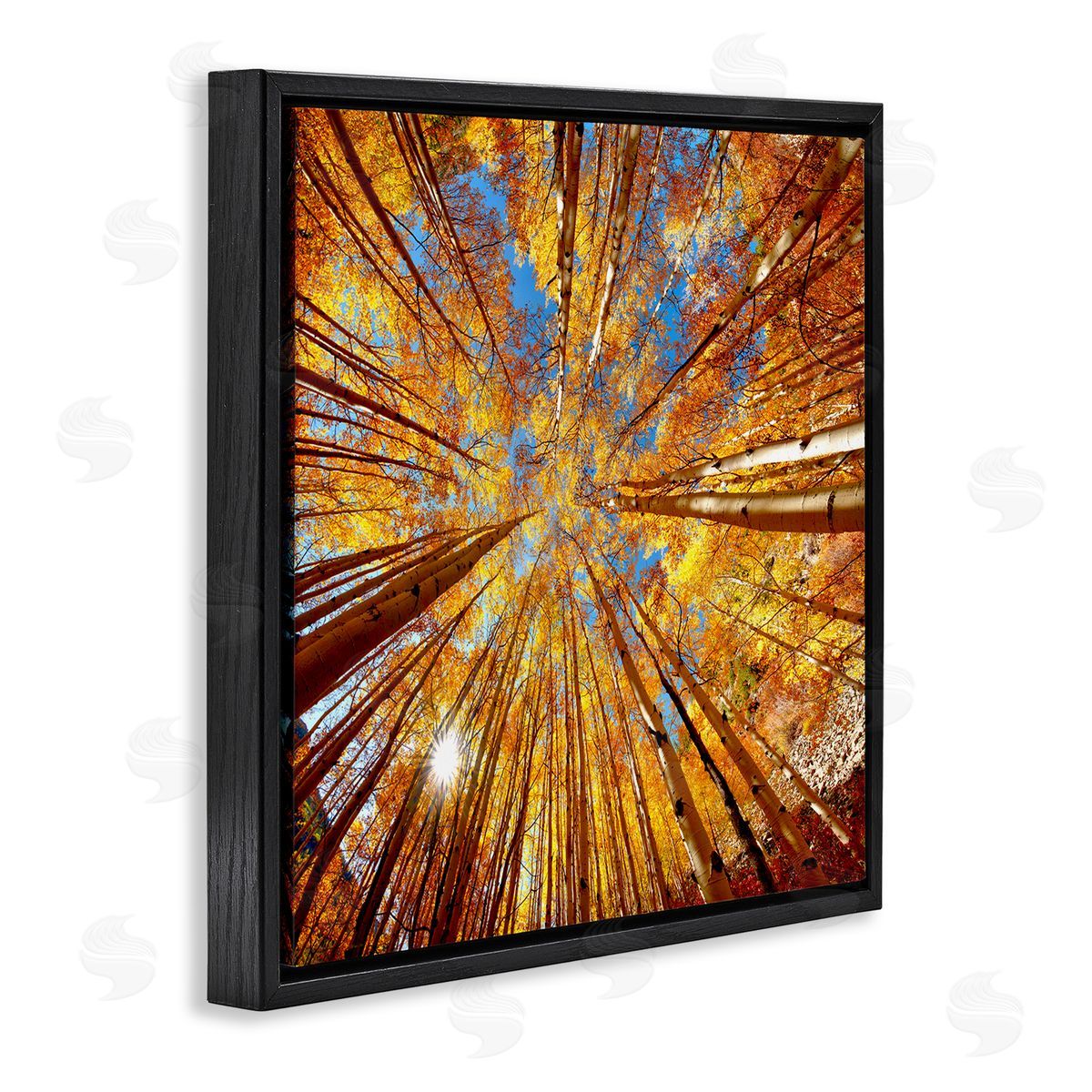Lena Owens Colorado Autumn Trees Black Floating Frame Canvas Wall Art Print