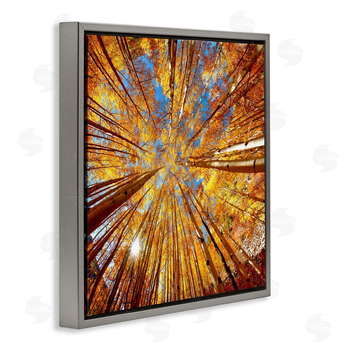 Lena Owens Colorado Autumn Trees Gray Floating Frame Canvas Wall Art Print