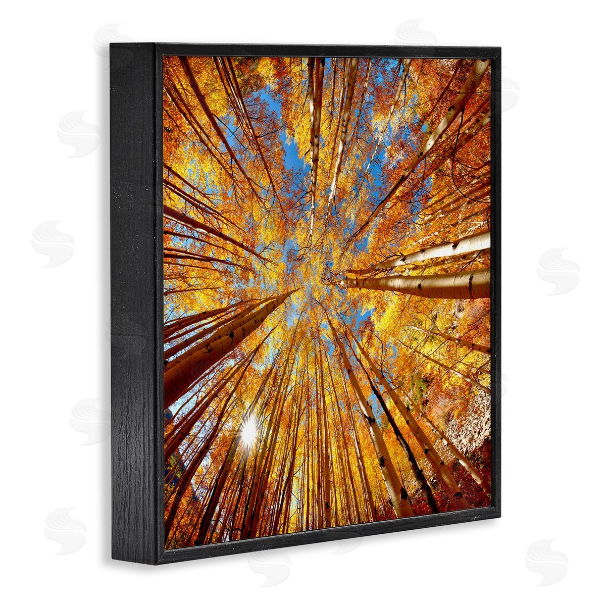 Lena Owens Colorado Autumn Trees Black Framed Glicee Wall Art Print