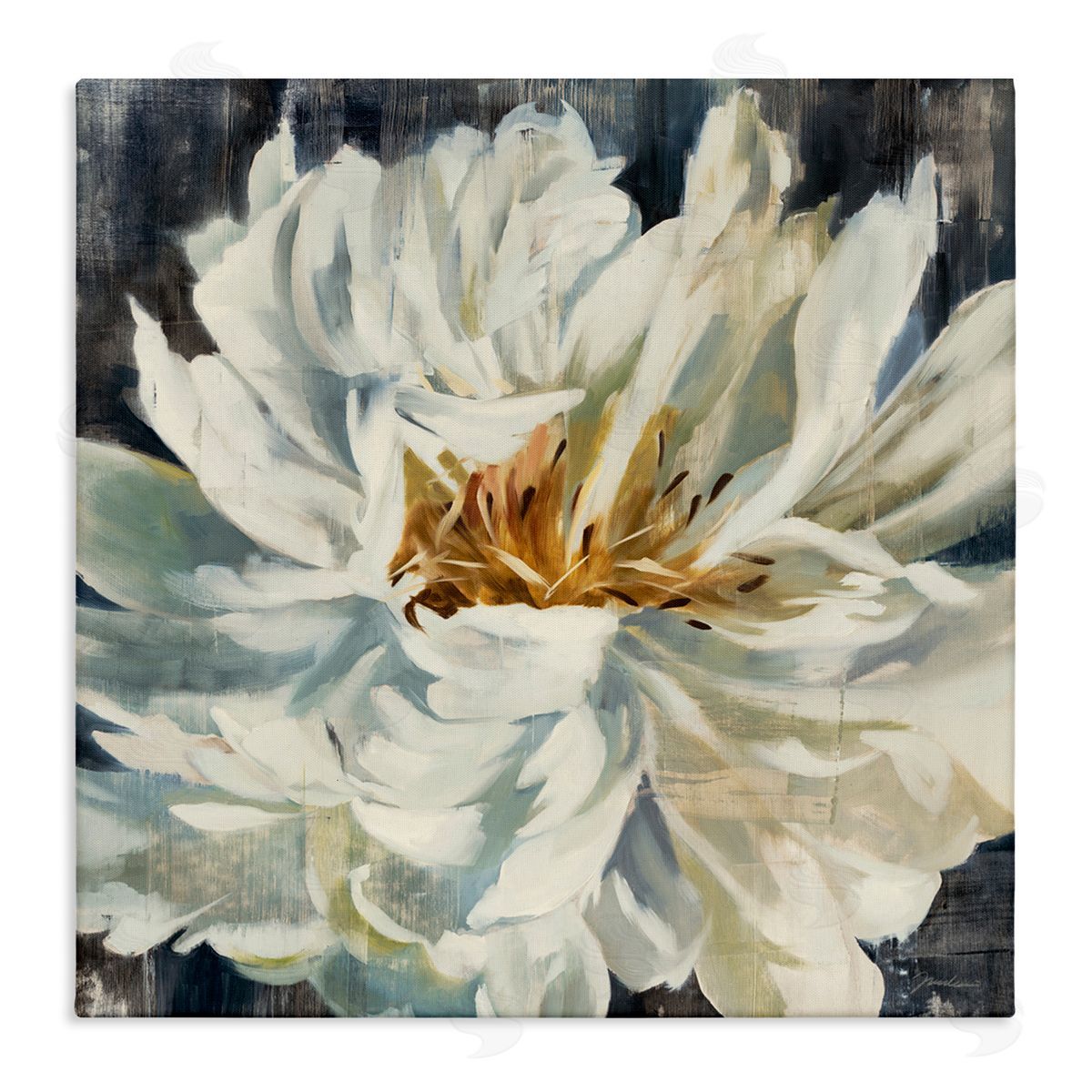 Liz Jardine White Flower Blossom Stretched Canvas Wall Art Print