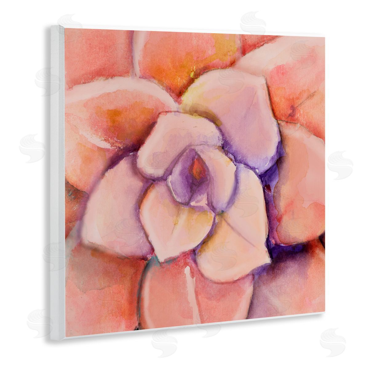 Patricia Pinto Pink Flower Petals Painting Wooden Wall Plaque Art Print