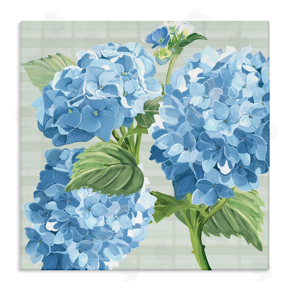 Erica Christopher Blue Hydrangea Blossoms Stretched Canvas Wall Art Print