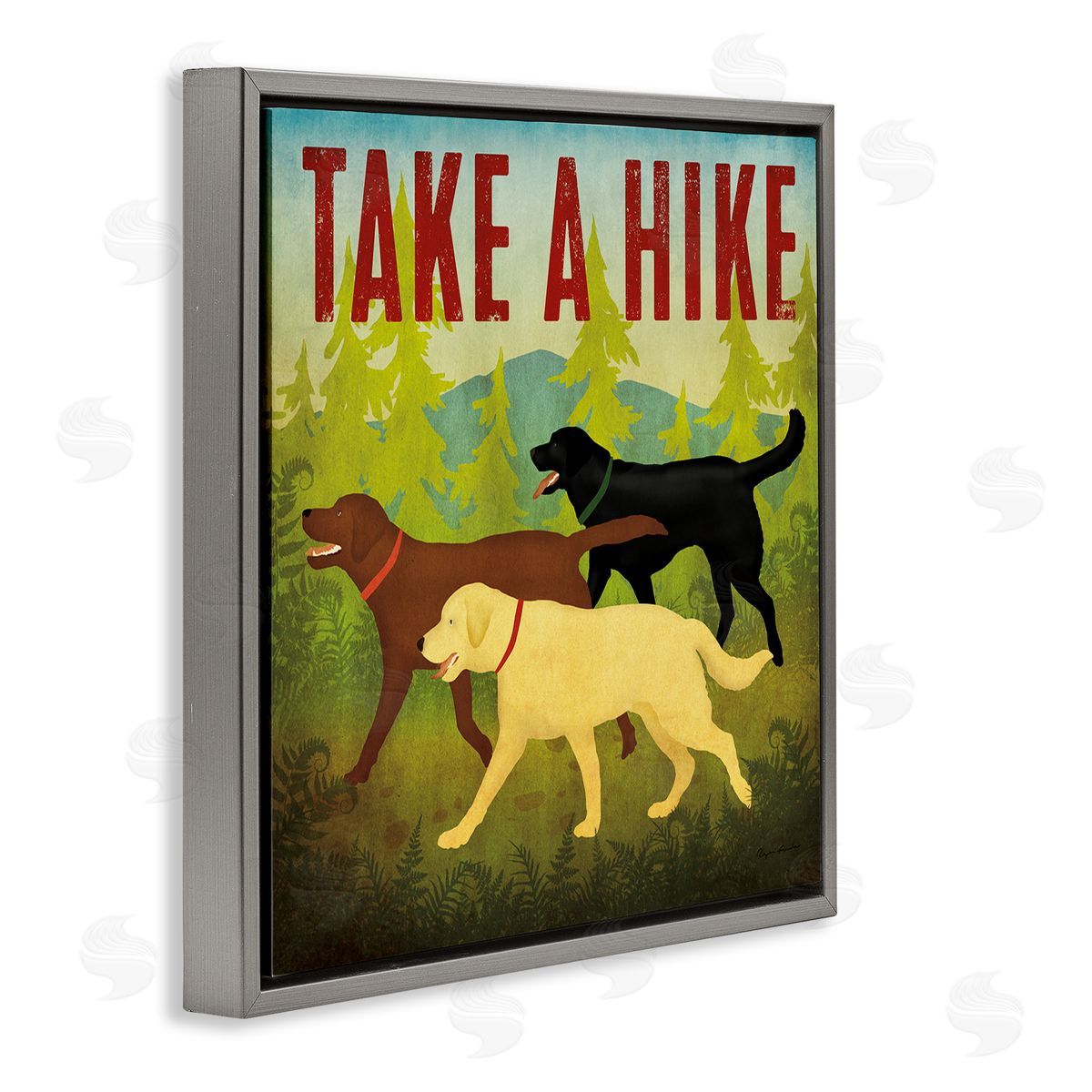 Ryan Fowler Take a Hike Phrase Gray Floating Frame Canvas Wall Art Print