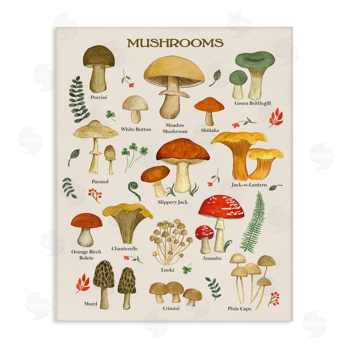 Foraging Mushrooms Studies Canvas Wall Art, Home Decor by Sharon Lee