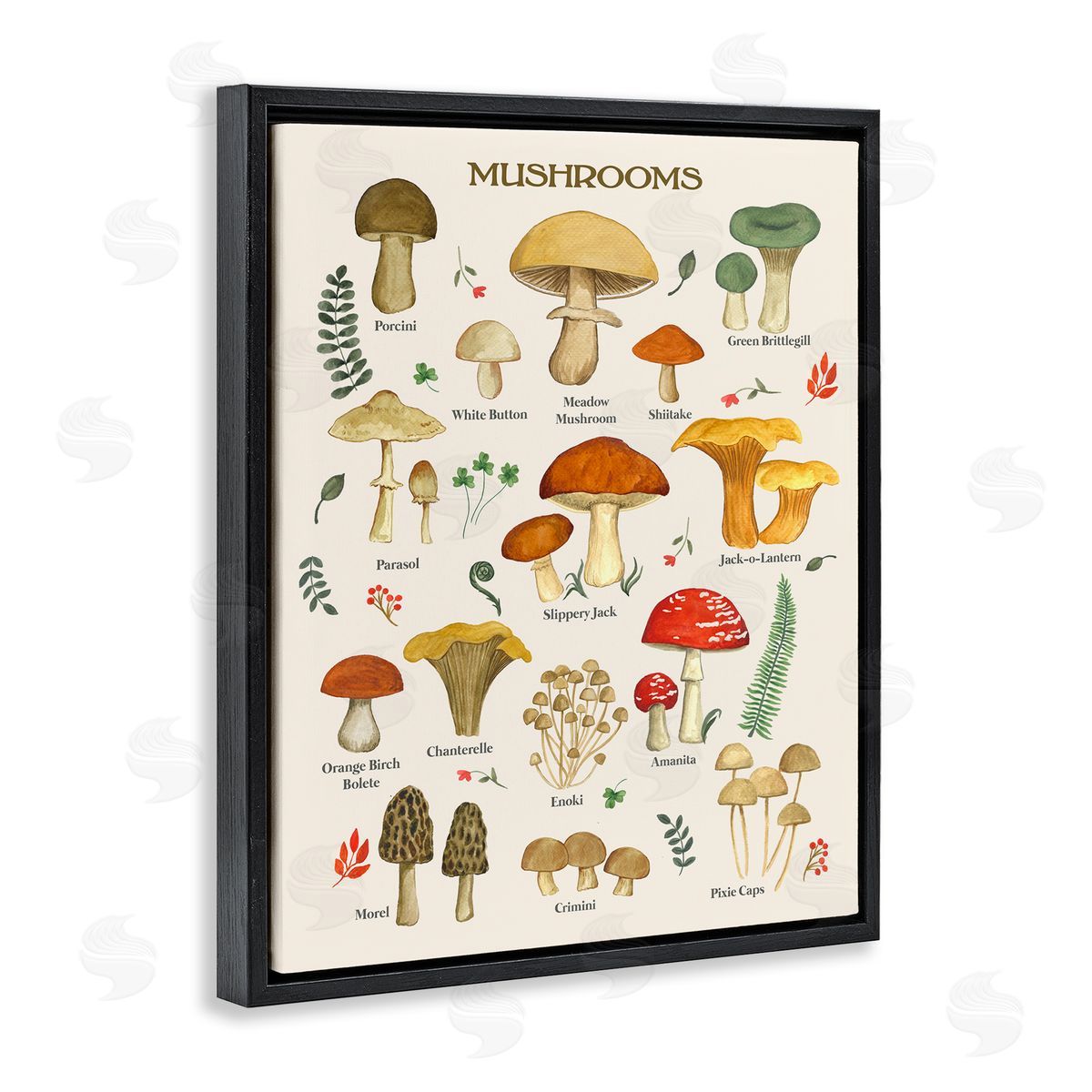 Foraging Mushrooms Studies Black Floating Frame Canvas Wall Art, Home Decor by Sharon Lee