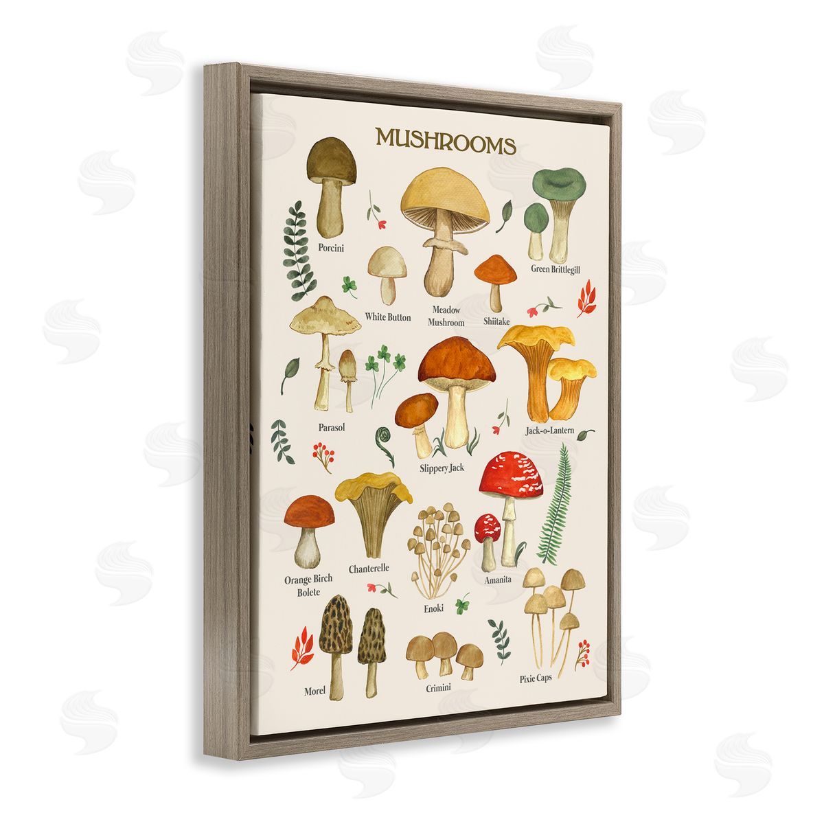 Foraging Mushrooms Studies Brown Floating Frame Canvas Wall Art, Home Decor by Sharon Lee
