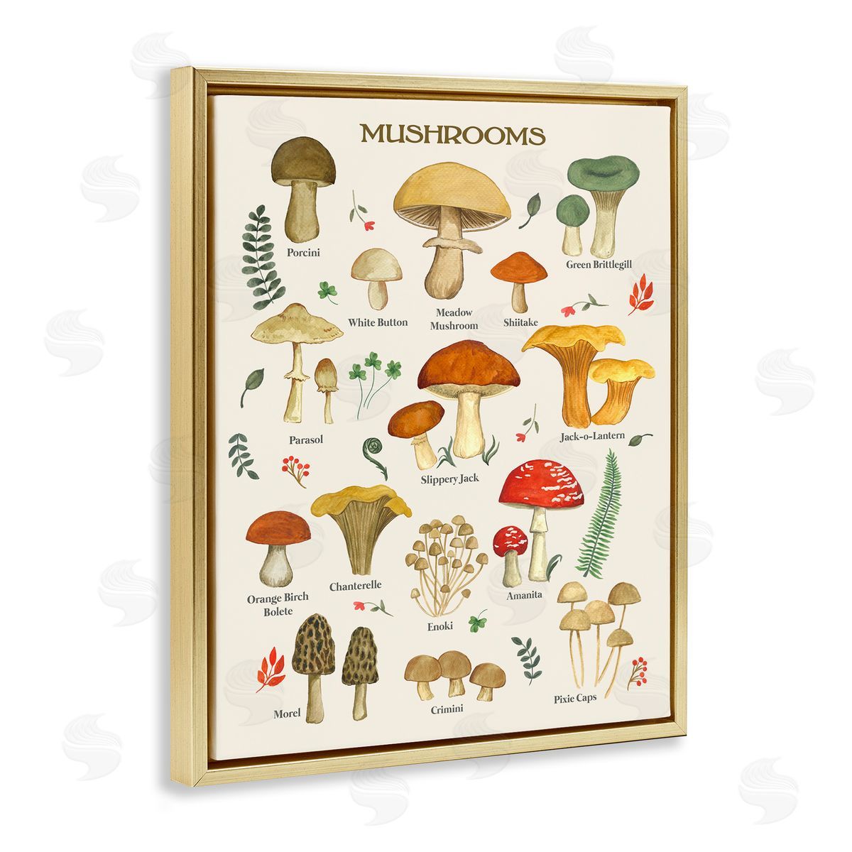 Foraging Mushrooms Studies Gold Floating Frame Canvas Wall Art, Home Decor by Sharon Lee