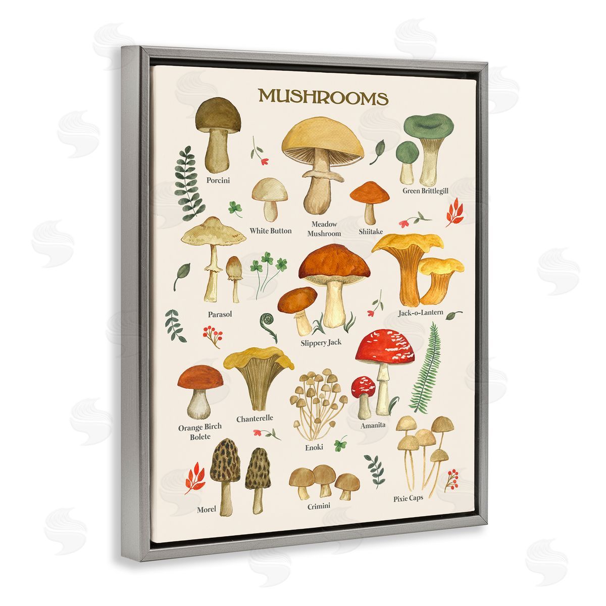 Foraging Mushrooms Studies Grey Floating Frame Canvas Wall Art, Home Decor by Sharon Lee
