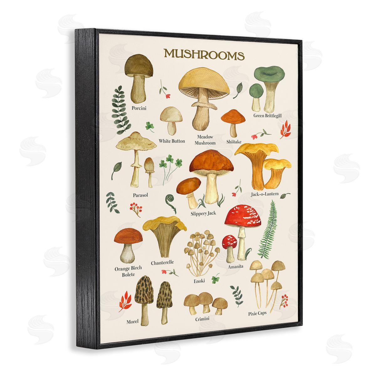 Foraging Mushrooms Studies Black Frame Print Wall Art, Home Decor by Sharon Lee