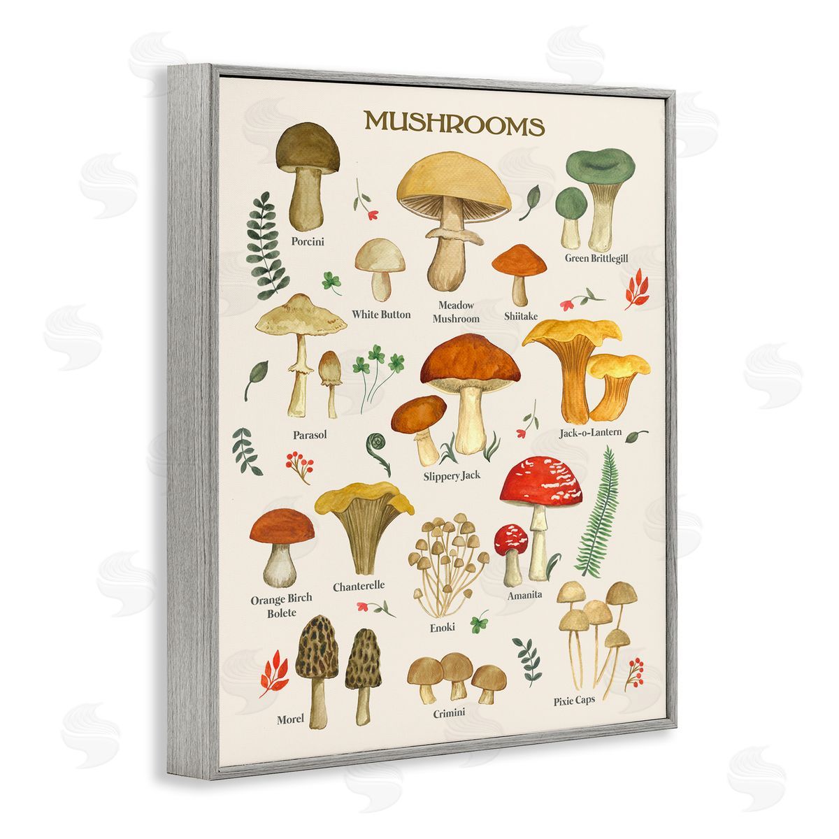 Foraging Mushrooms Studies Grey Frame Print Wall Art, Home Decor by Sharon Lee