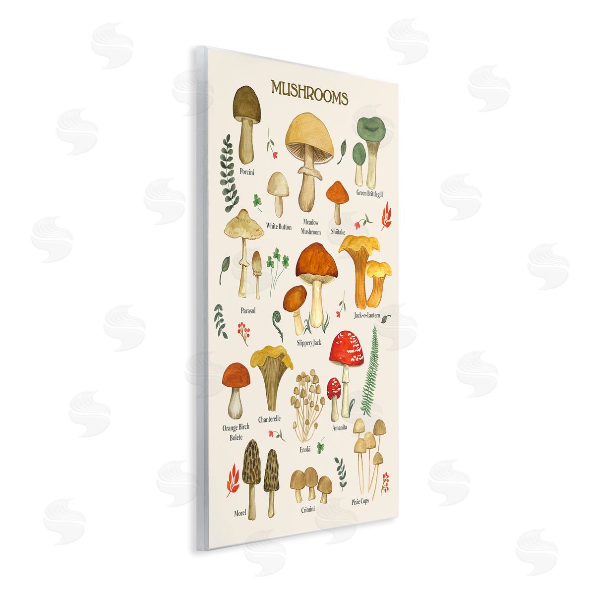 Foraging Mushrooms Studies Wood Plaque Wall Art, Home Decor by Sharon Lee