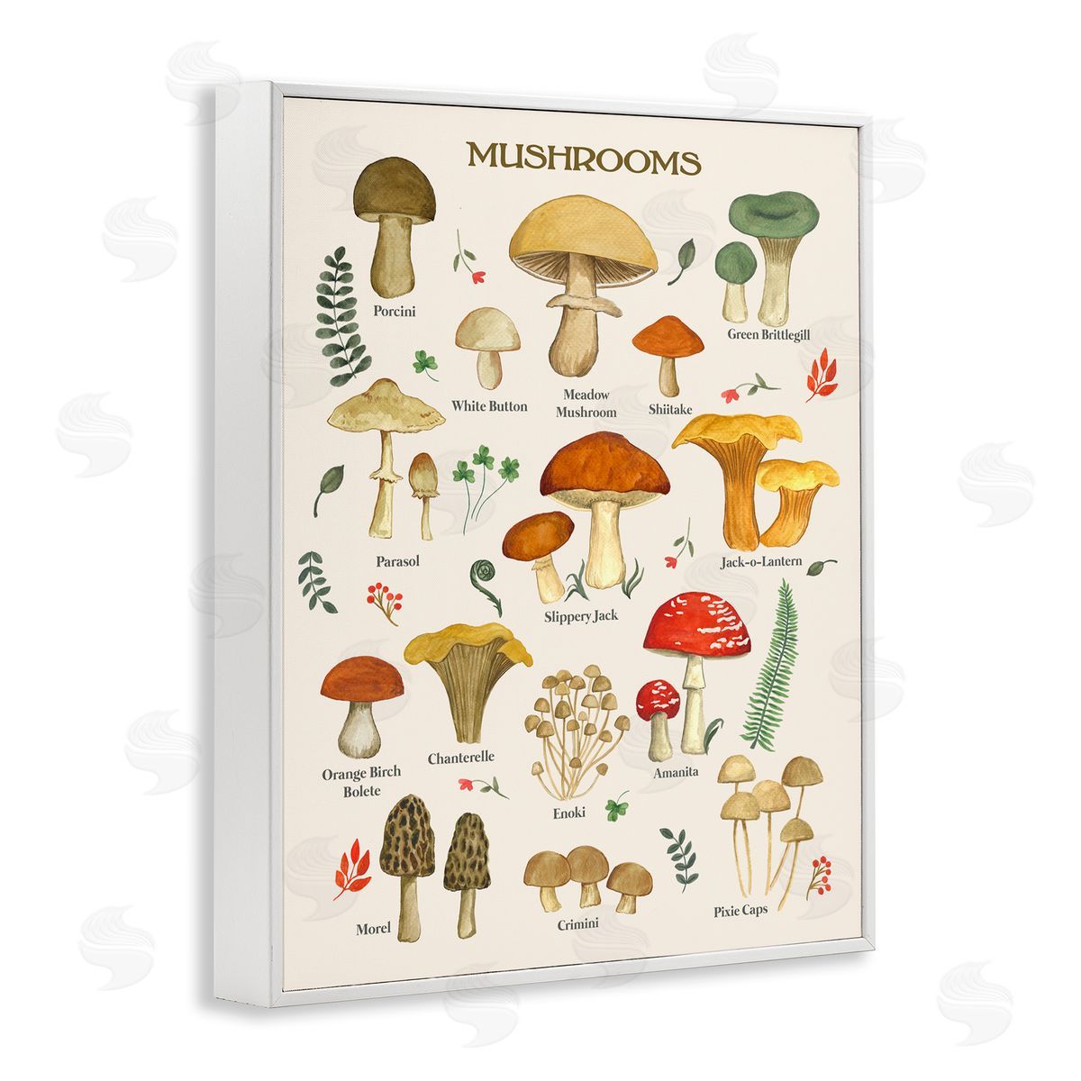 Foraging Mushrooms Studies White Frame Print Wall Art, Home Decor by Sharon Lee