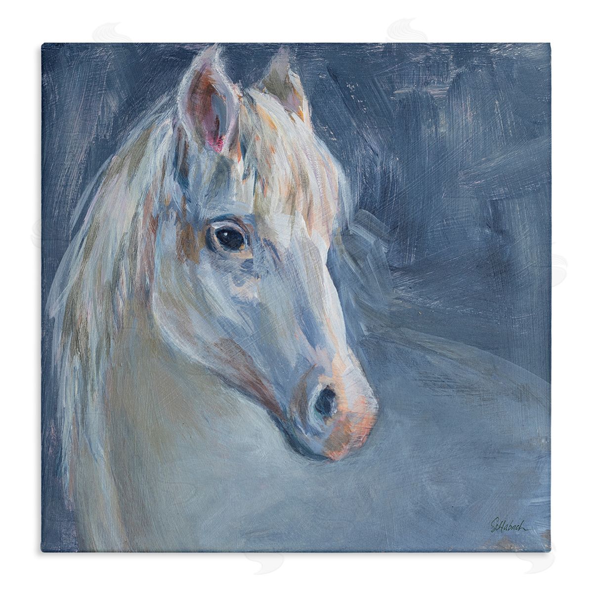 Sue Schlabach Gentle Gray Horse Painting Stretched Canvas Wall Art Print