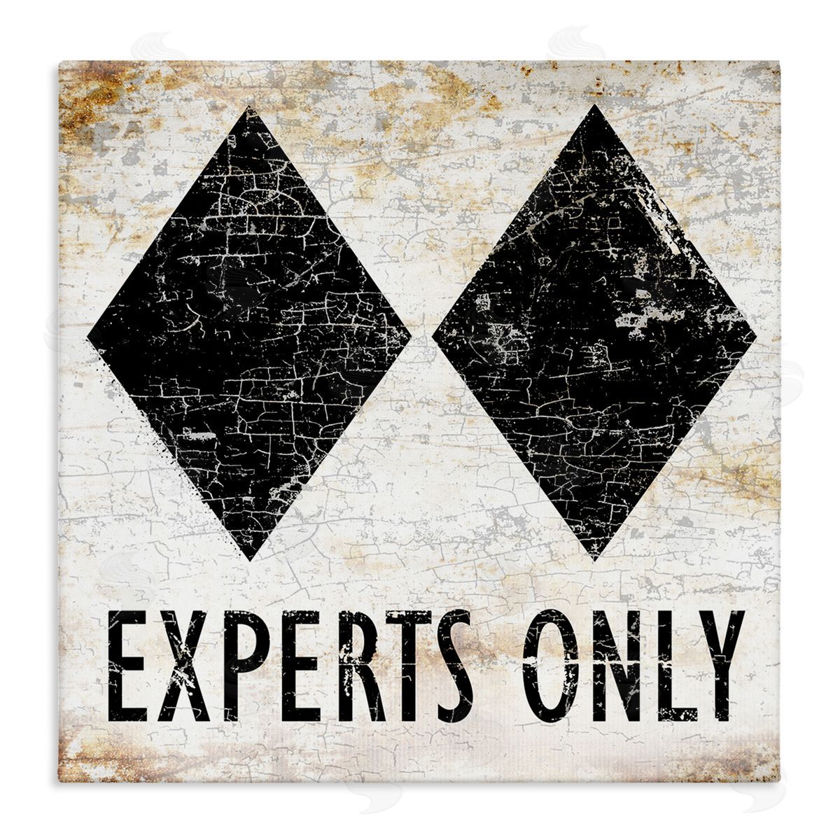 Peter Horjus Rustic Experts Only Skiing Stretched Canvas Wall Art Print