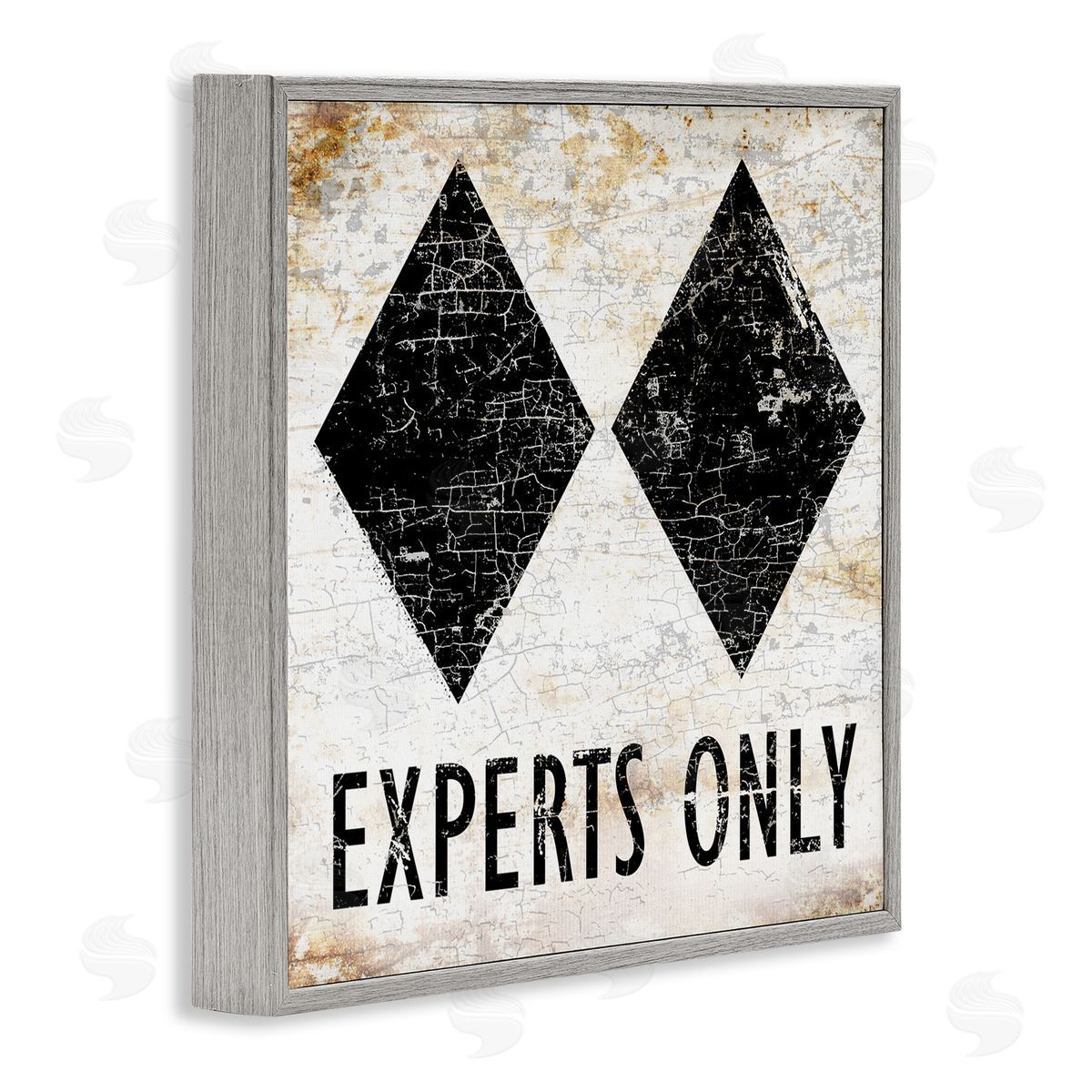 Peter Horjus Rustic Experts Only Skiing Gray Framed Glicee Wall Art Print
