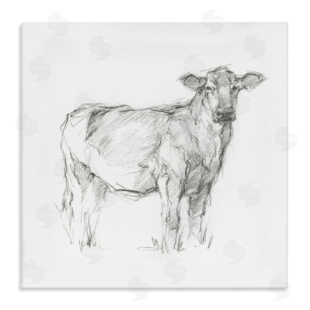 Ethan Harper Minimal Cattle Sketch Stretched Canvas Wall Art Print