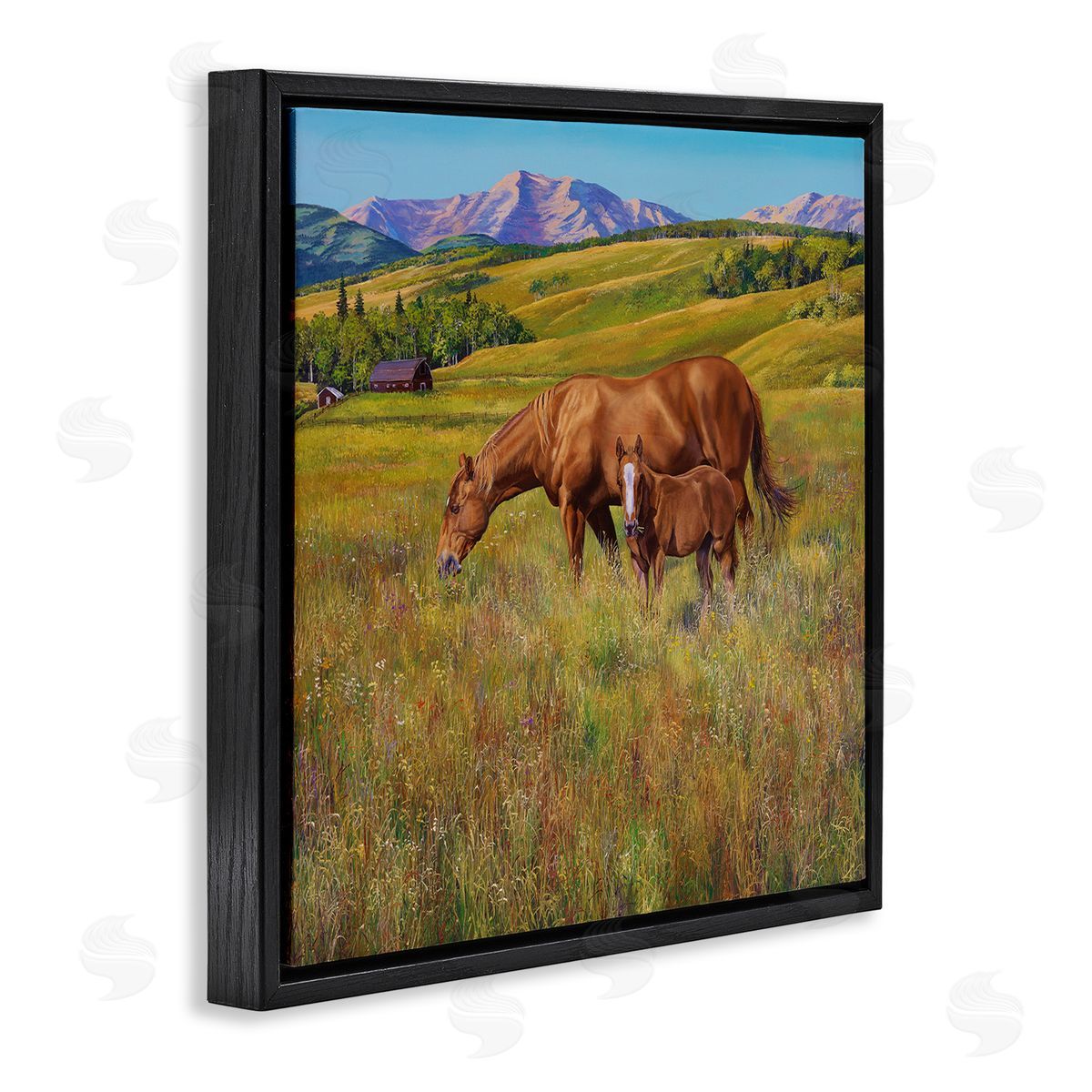 Andrew Kiss Horses Grazing in Meadow Black Floating Frame Canvas Wall Art Print