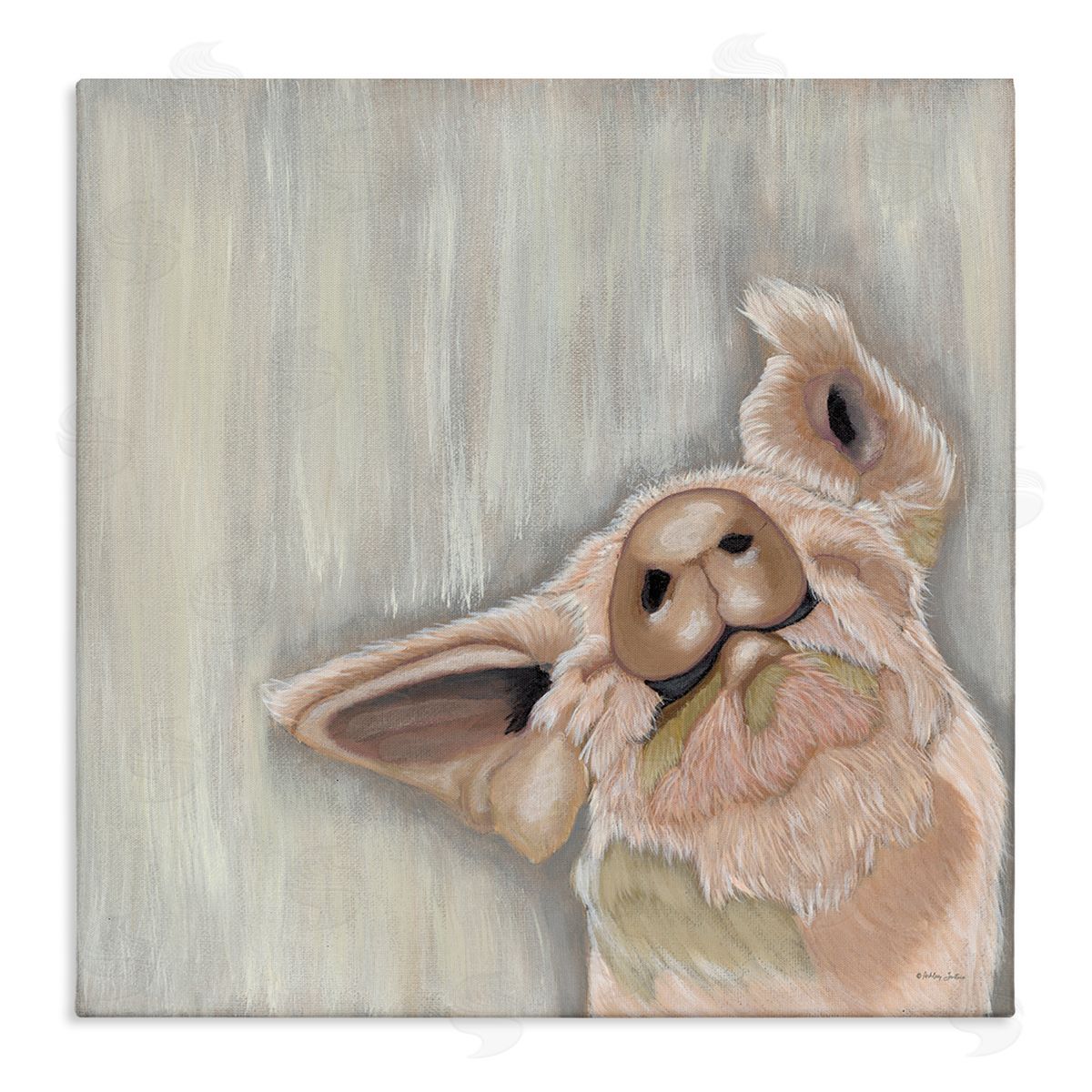 Ashley Justice Pig Looking Upward Stretched Canvas Wall Art Print