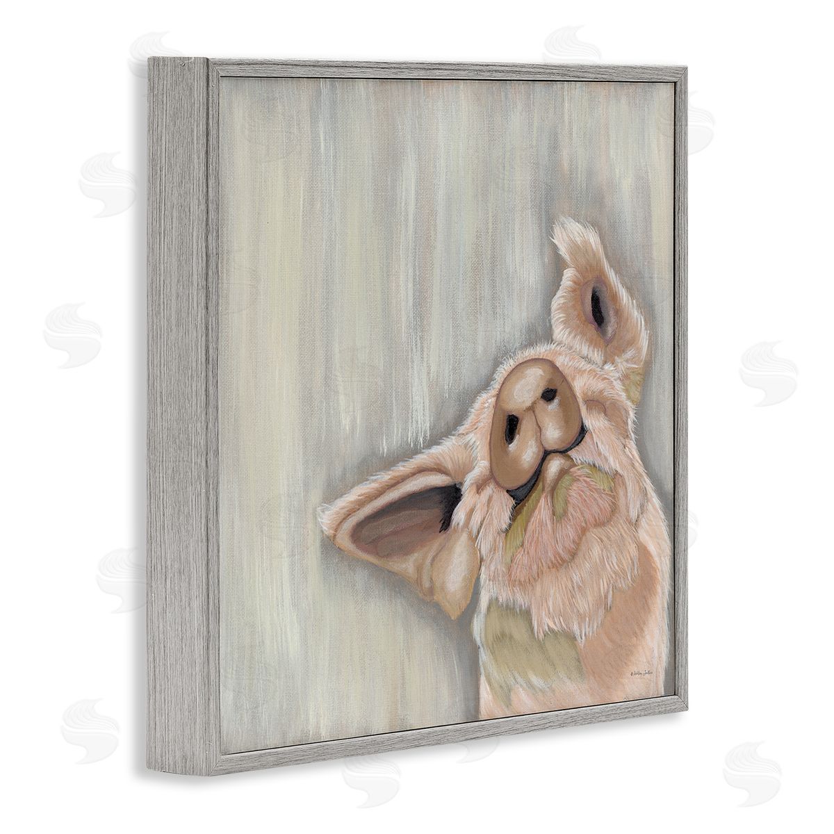 Ashley Justice Pig Looking Upward Gray Framed Glicee Wall Art Print