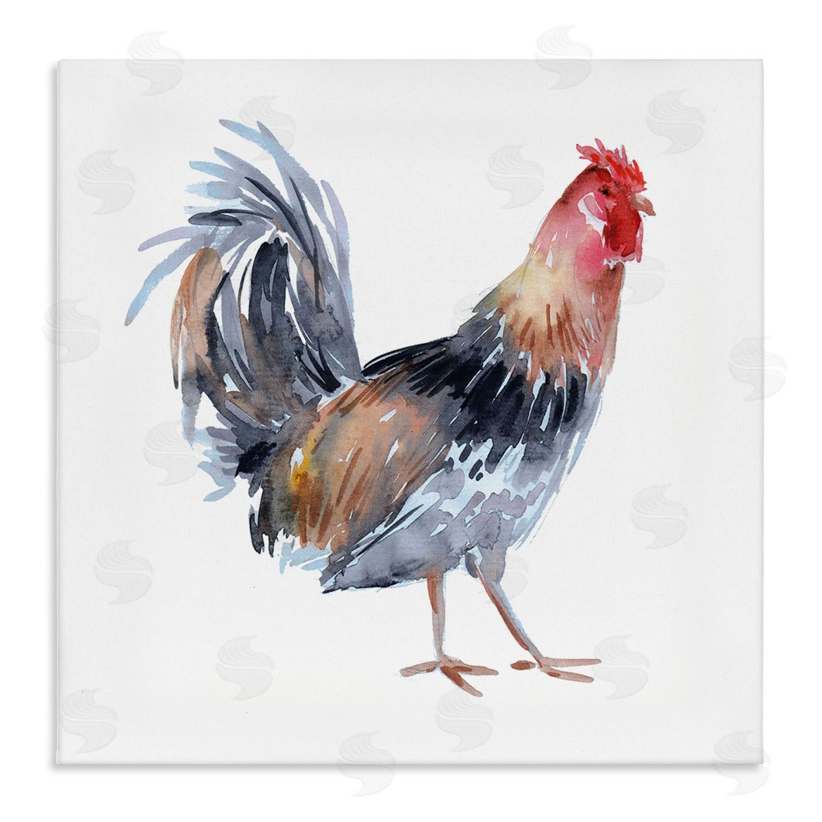 Claudia Bianchi Rooster Farm Animal Portrait Stretched Canvas Wall Art Print