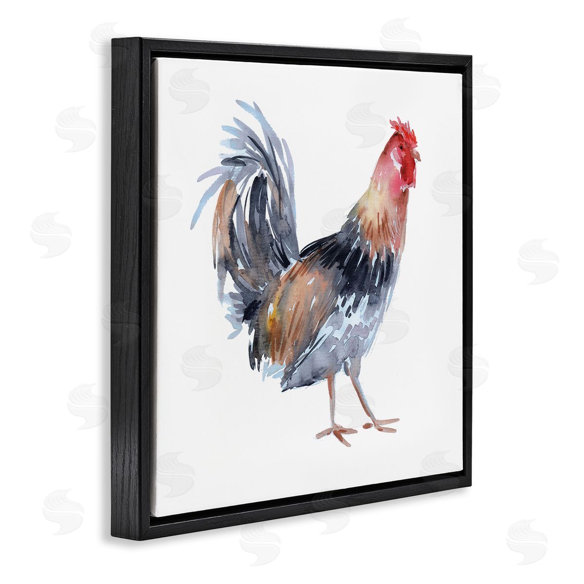 Claudia Bianchi Rooster Farm Animal Portrait Black Floating Frame Canvas Wall Art Print