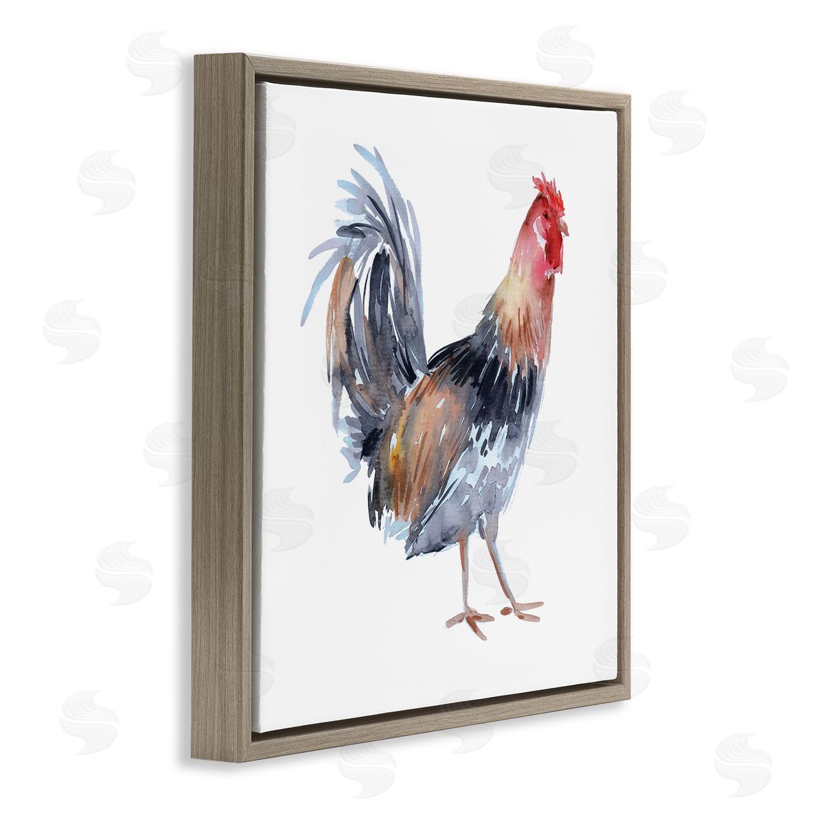 Claudia Bianchi Rooster Farm Animal Portrait Brown Floating Frame Canvas Wall Art Print