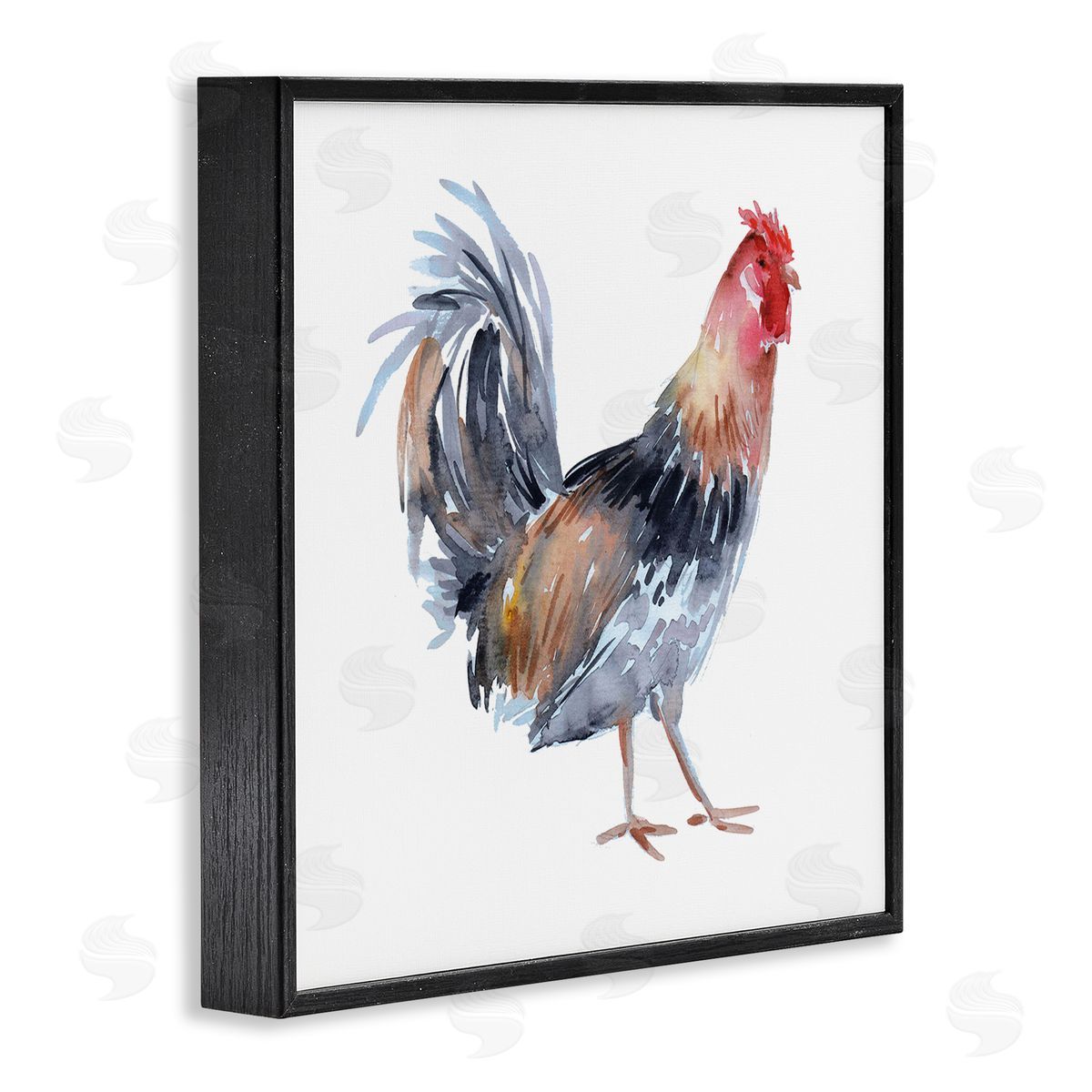 Claudia Bianchi Rooster Farm Animal Portrait Black Framed Glicee Wall Art Print