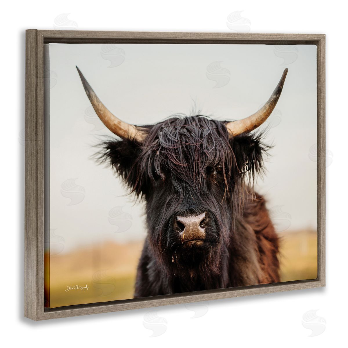 Black Highland Cow Portrait Brown Floating Frame Canvas Wall Art, Home Decor by Dakota Diener