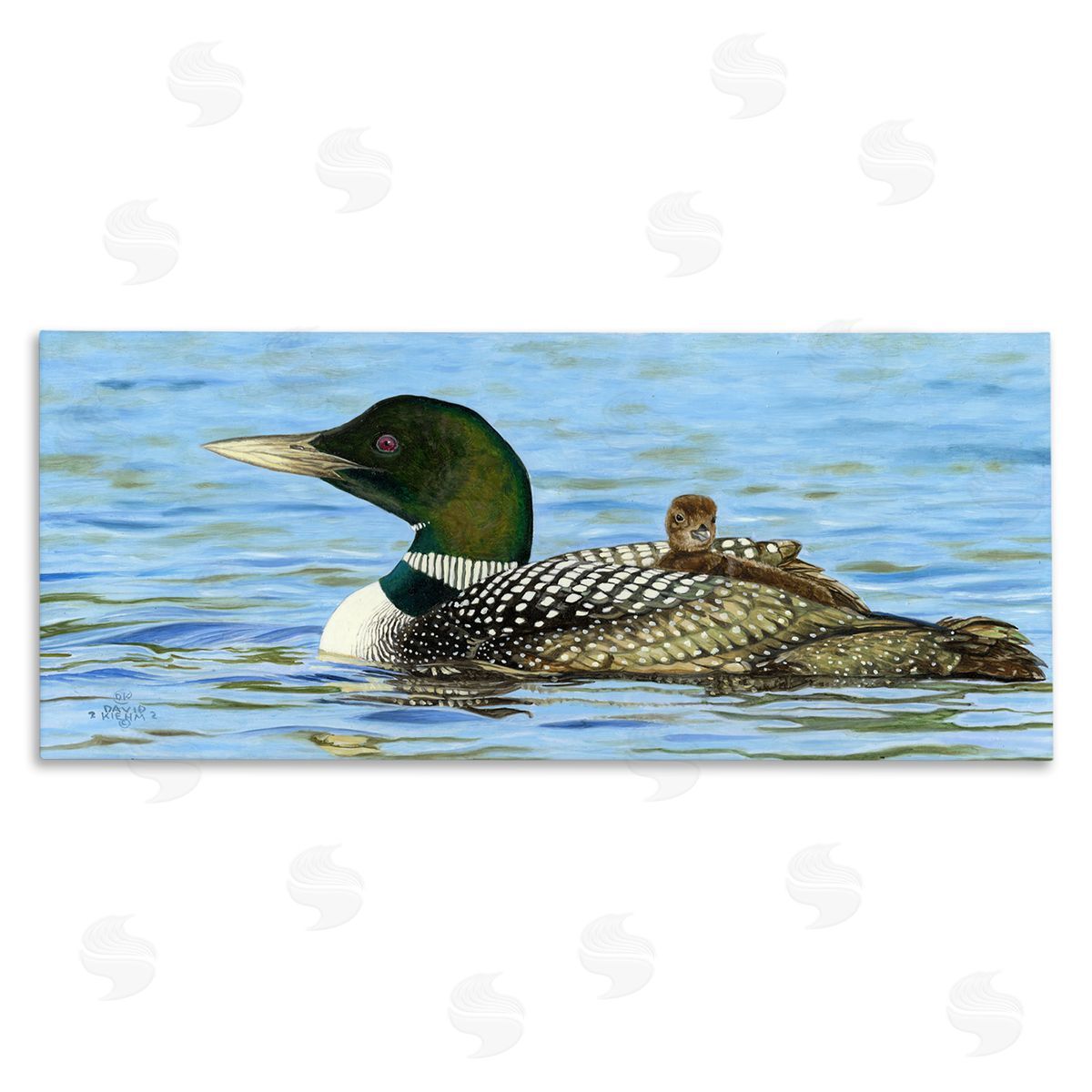 David Graham Mallard & Duckling in Water