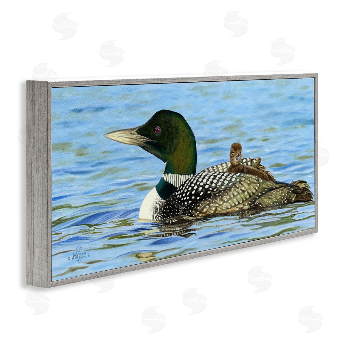 David Graham Mallard & Duckling in Water