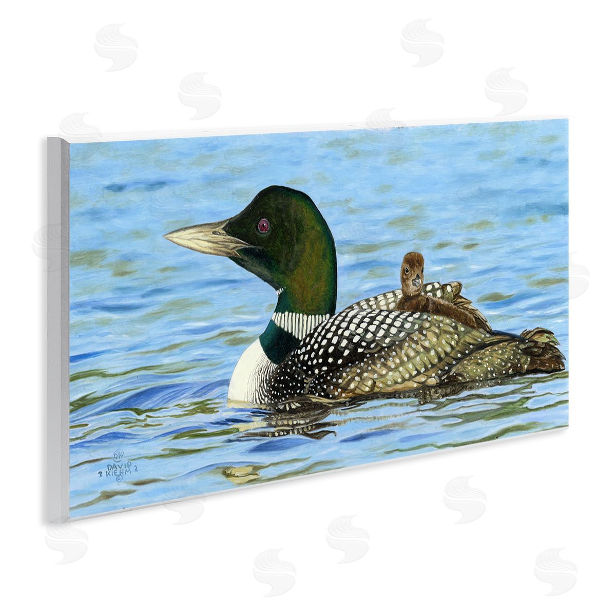 David Graham Mallard & Duckling in Water