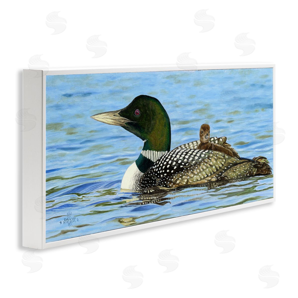 David Graham Mallard & Duckling in Water