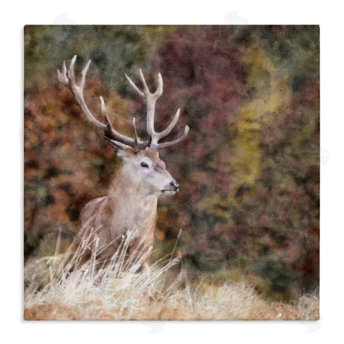 LSR Design Studio Deer in Forest Nature Stretched Canvas Wall Art Print