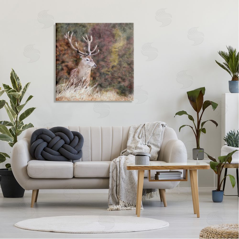 LSR Design Studio Deer in Forest Nature Canvas Wall Art in Room