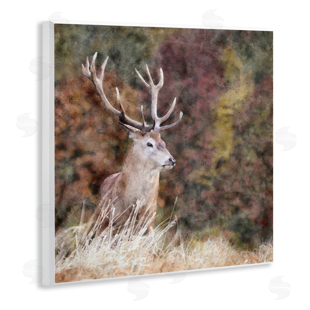 LSR Design Studio Deer in Forest Nature Wooden Wall Plaque Art Print