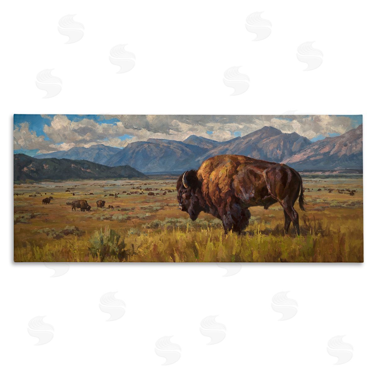 Chad Poppleton Bison Grazing in Valley