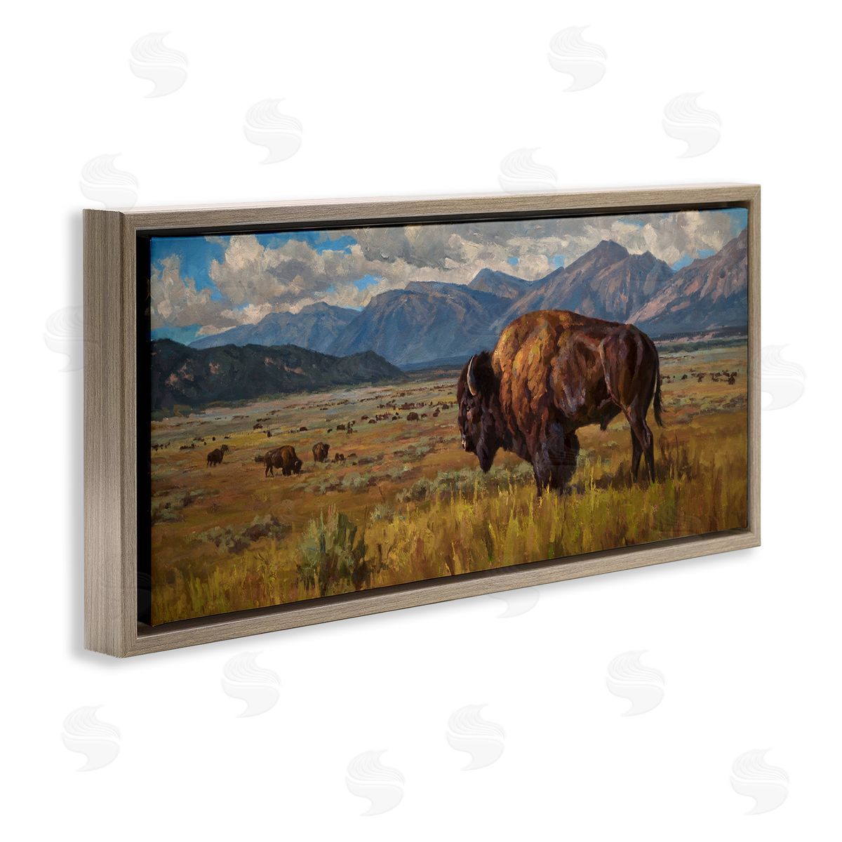 Chad Poppleton Bison Grazing in Valley