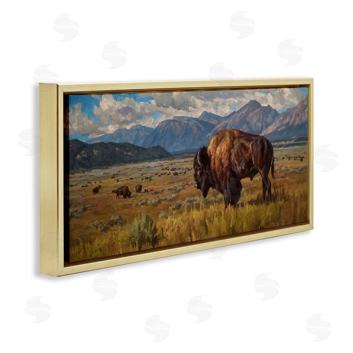 Chad Poppleton Bison Grazing in Valley