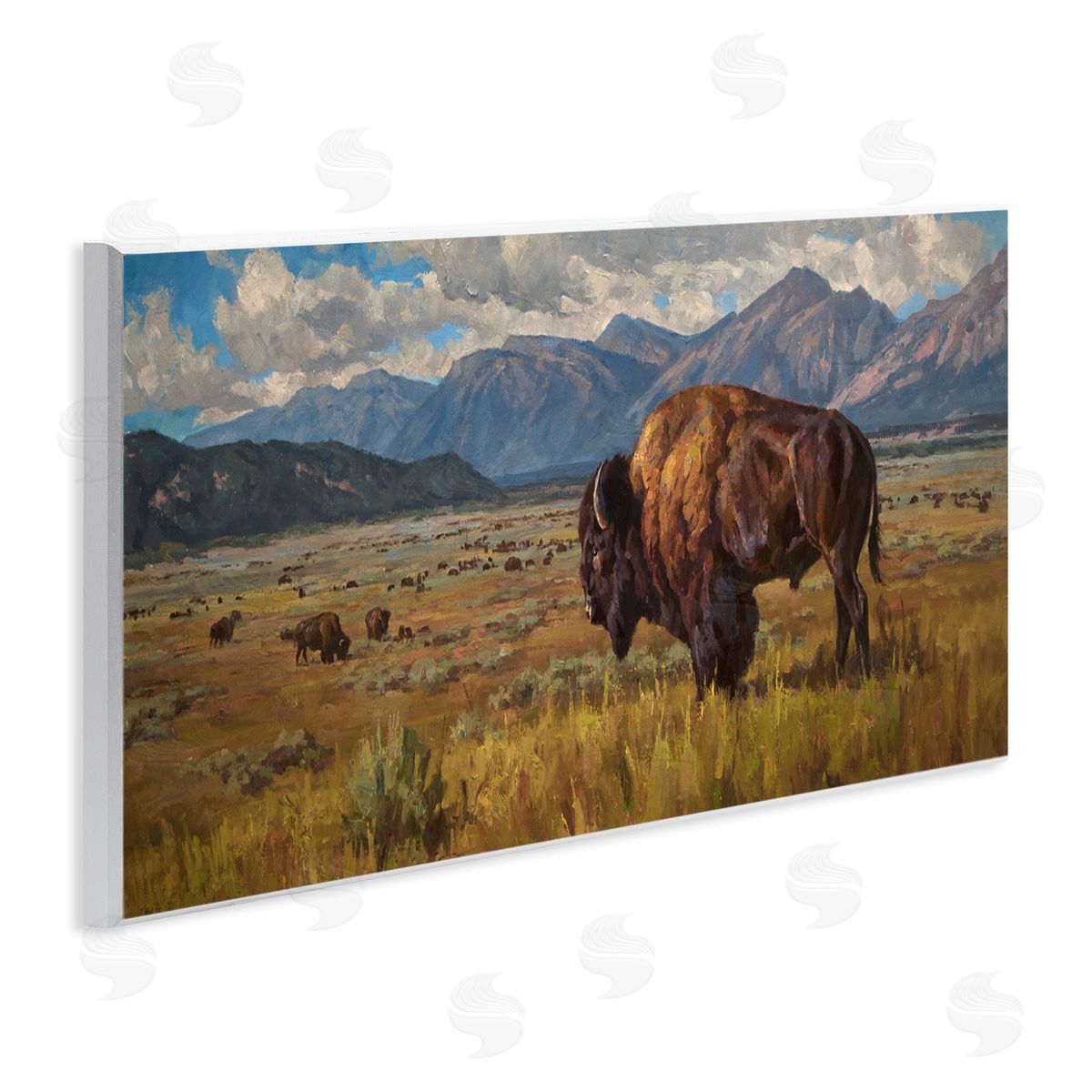 Chad Poppleton Bison Grazing in Valley