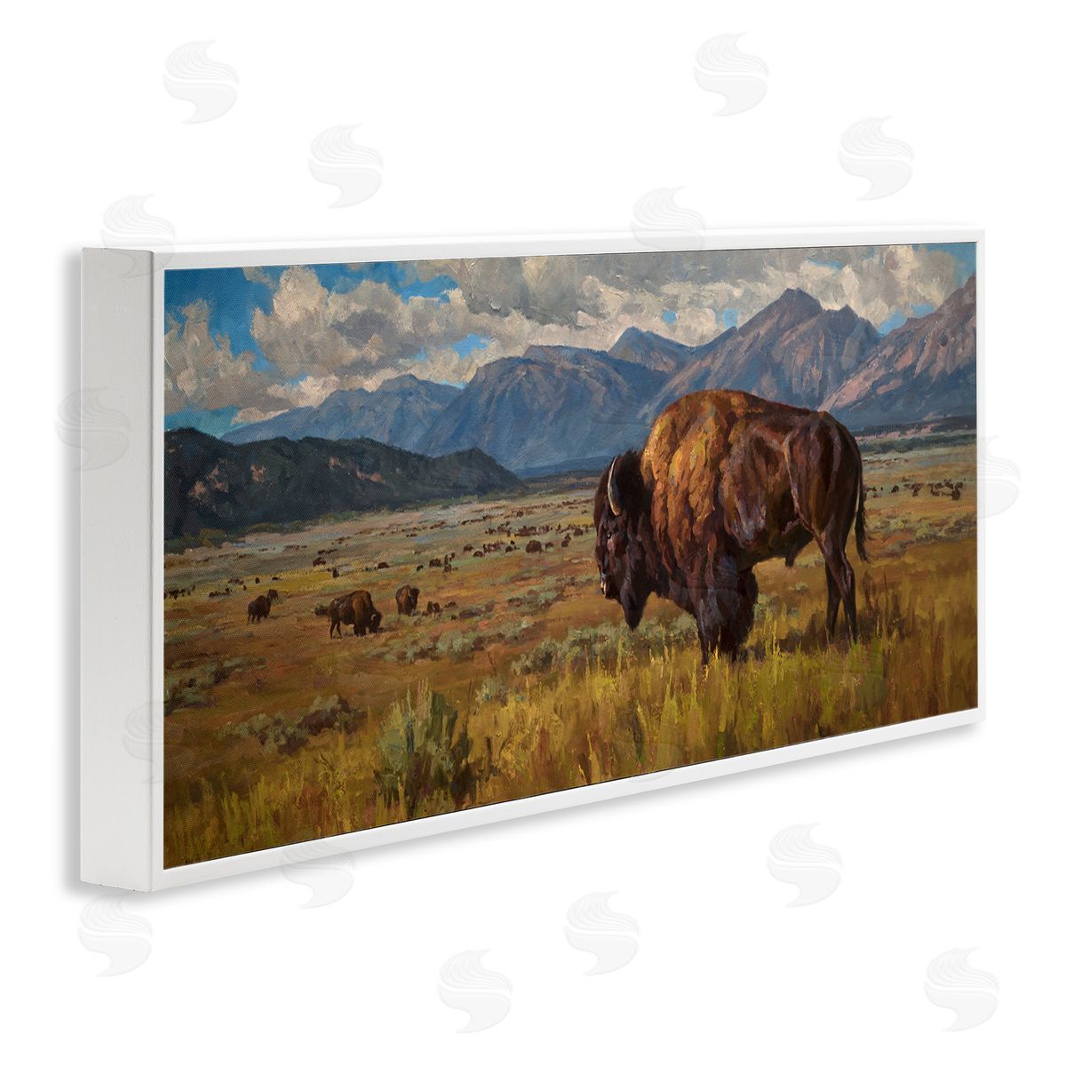 Chad Poppleton Bison Grazing in Valley